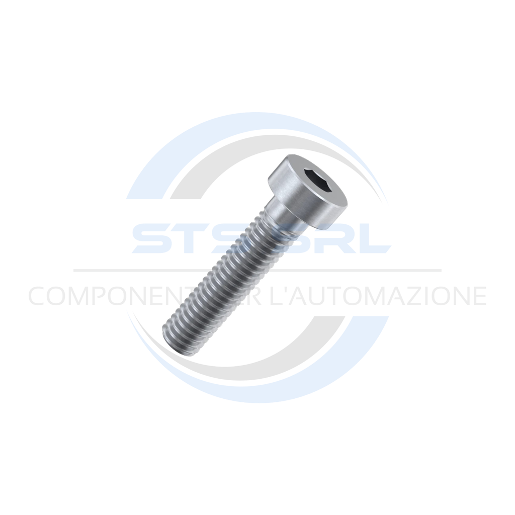 Full Threaded Low Cap Screws M8x25